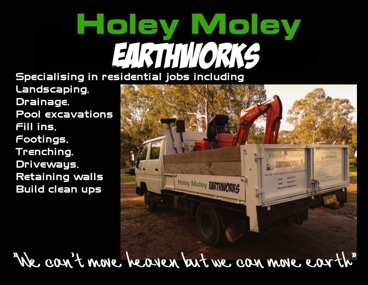 Diseño de Postal por divineproductionsdesigns para holey moley earthworks | Diseño #8412959