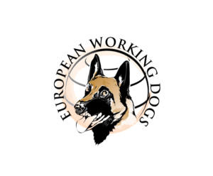 Logo Design by blue eye