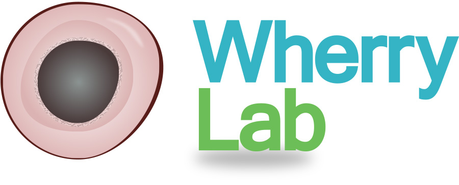 Logo Design by saulfcabrera for this project | Design #8406896