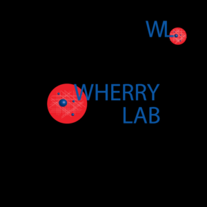 Logo Design by tyork for this project | Design: #8441433