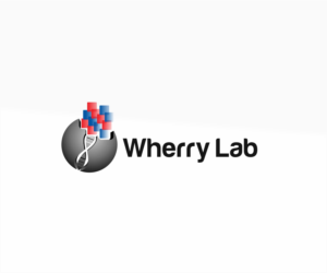 Logo Design by dreams and reality