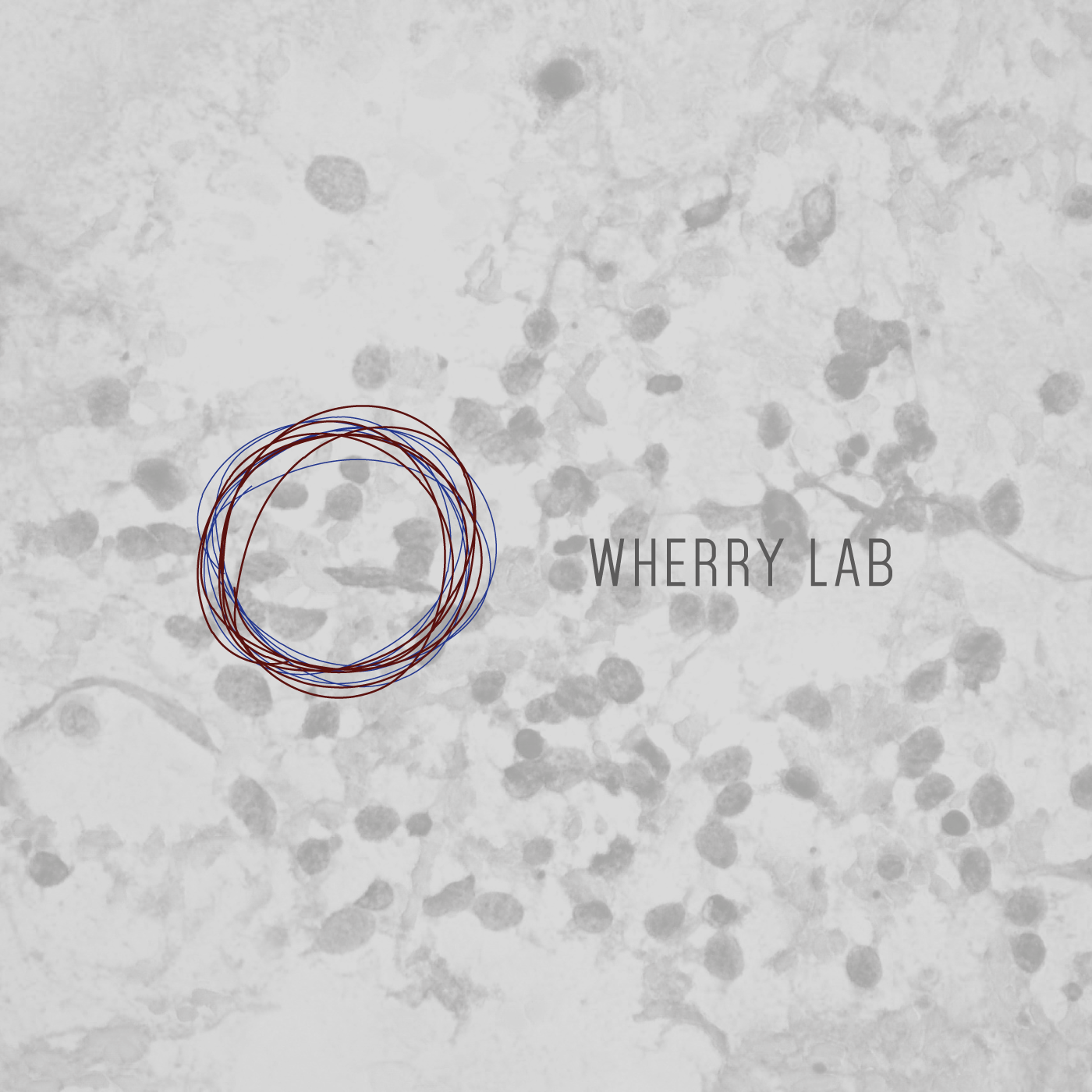 Logo Design by byjoao for this project | Design #8416546