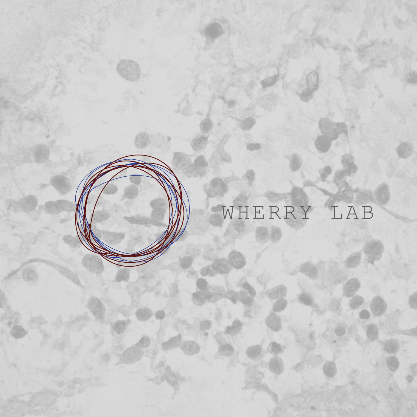 Design de Logo par byjoao pour ce projet | Design #8416568