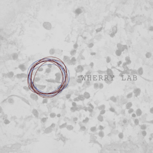 Logo Design by byjoao for this project | Design: #8416568