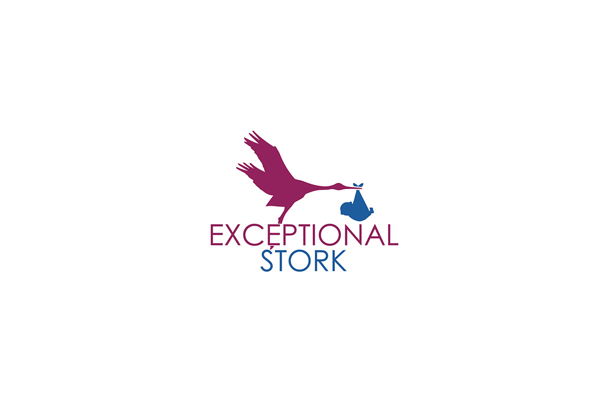Logo Design by Ves-Boycheva for Exceptional Stork LLC | Design #8534203