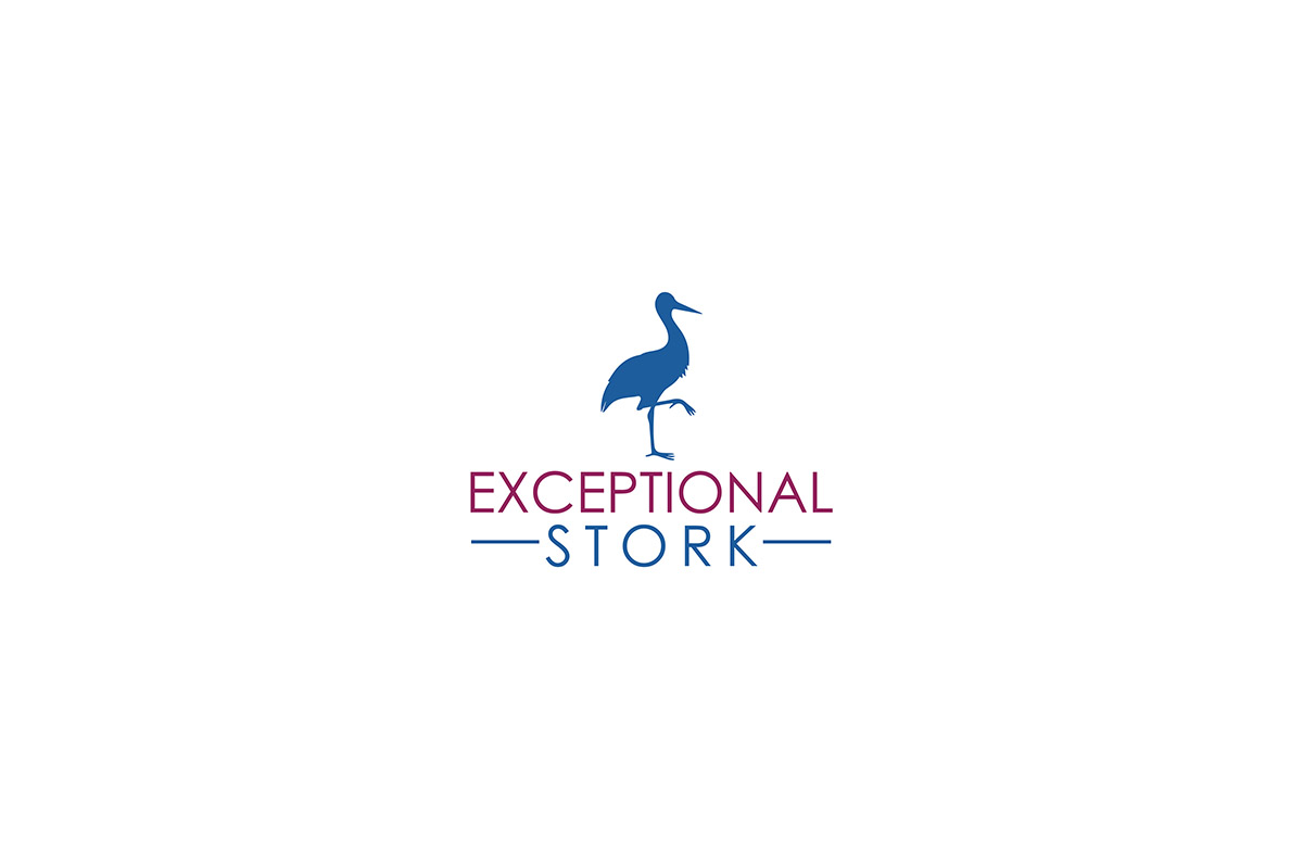 Logo Design by Ves-Boycheva for Exceptional Stork LLC | Design #8534204