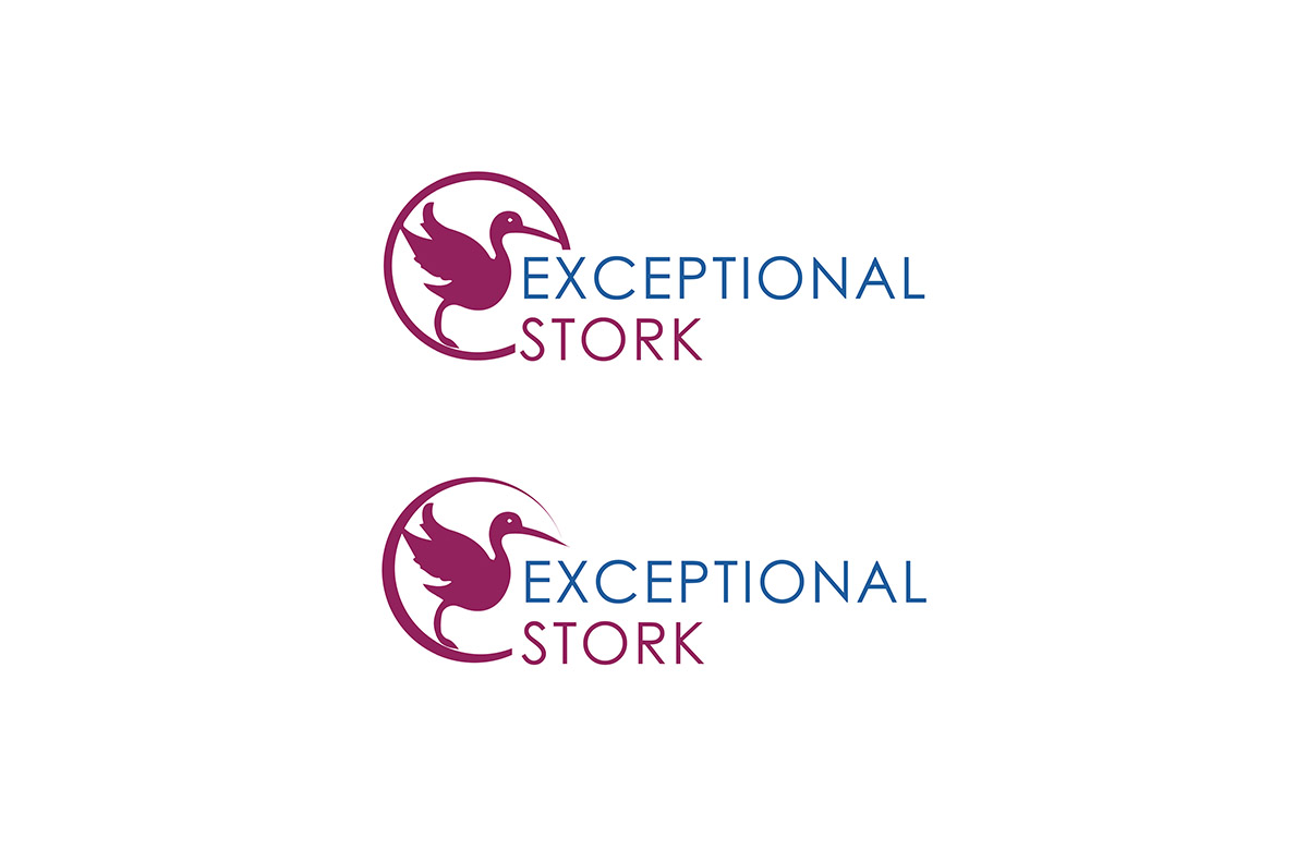 Logo Design by Ves-Boycheva for Exceptional Stork LLC | Design #8534211