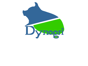 Logo Design by Kasper