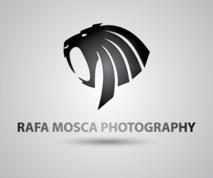 Logo Design by 84logo