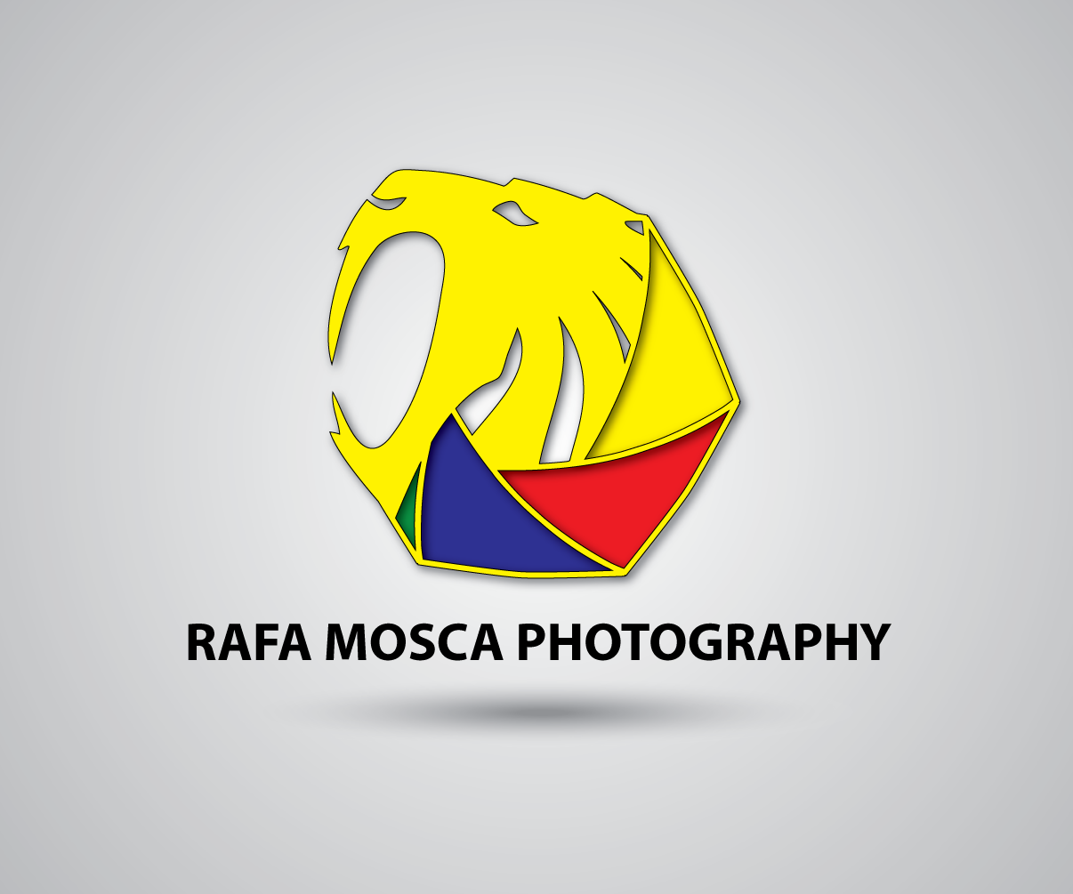 Logo Design by 84logo for this project | Design #8481846