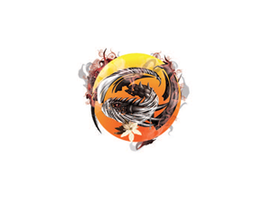 Illustration Design by roopaljain