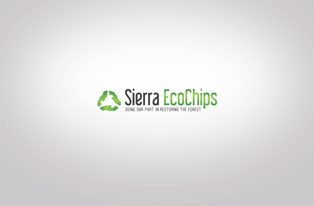 Logo Design by GLDesigns for Whisperjet Inc.  | Design #8407061