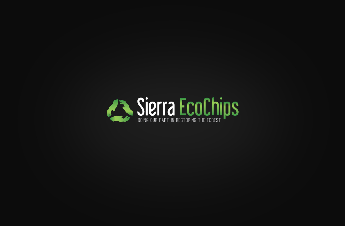 Logo Design by GLDesigns for Whisperjet Inc.  | Design #8407062