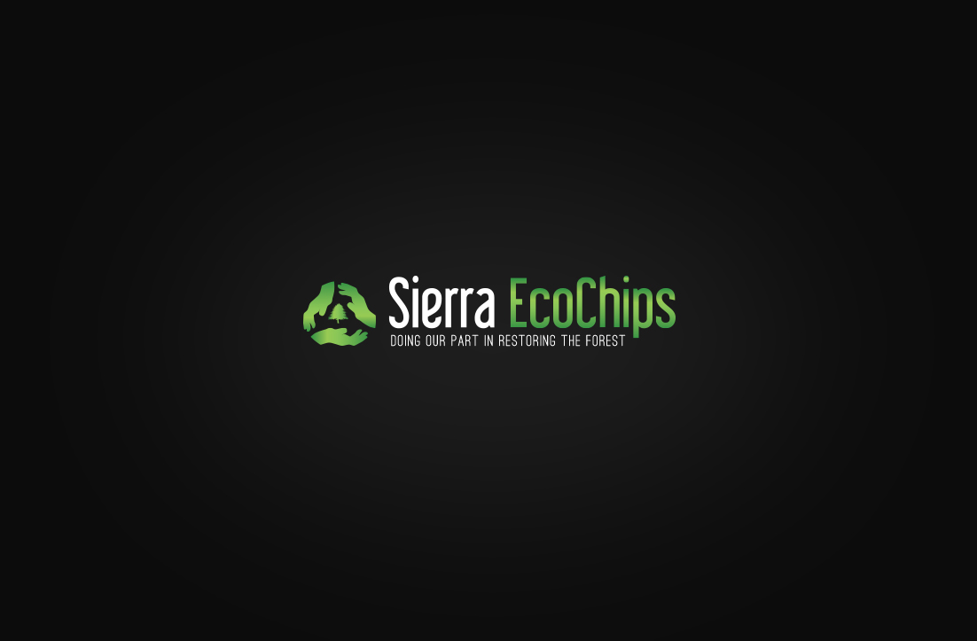 Logo Design by GLDesigns for Whisperjet Inc.  | Design #8417306