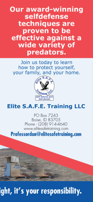 Flyer-Design von Black Stallions Impressive Solutions für Elite S.A.F.E. Training LLC | Design #9175174