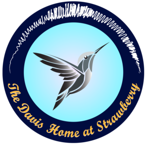 Logo Design by Mahesh Rathnayake