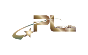 Logo Design by nsa51southwest