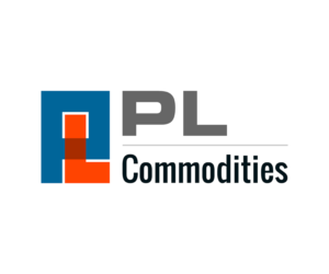 Logo Design by Prism IT Systems