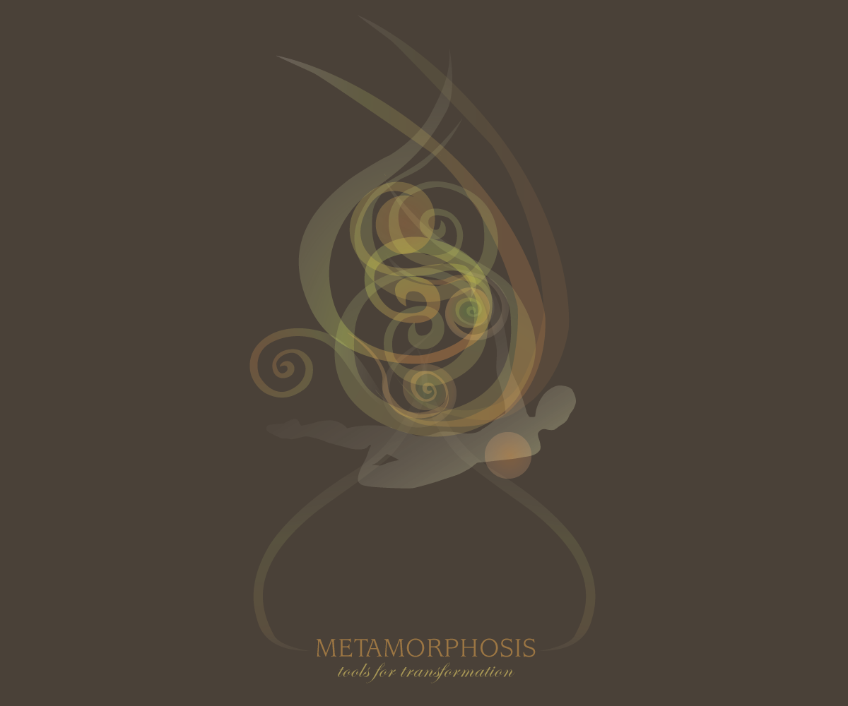 Logo Design by Stand Back Design Limited for Metamorphosis - Tools for transformation | Design #2016108