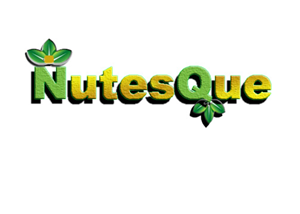 Logo Design by AnuGautam