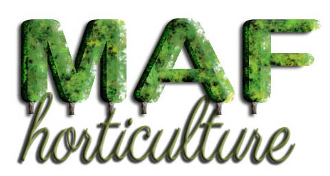Logo Design by kiwigal021 for this project | Design #8468553
