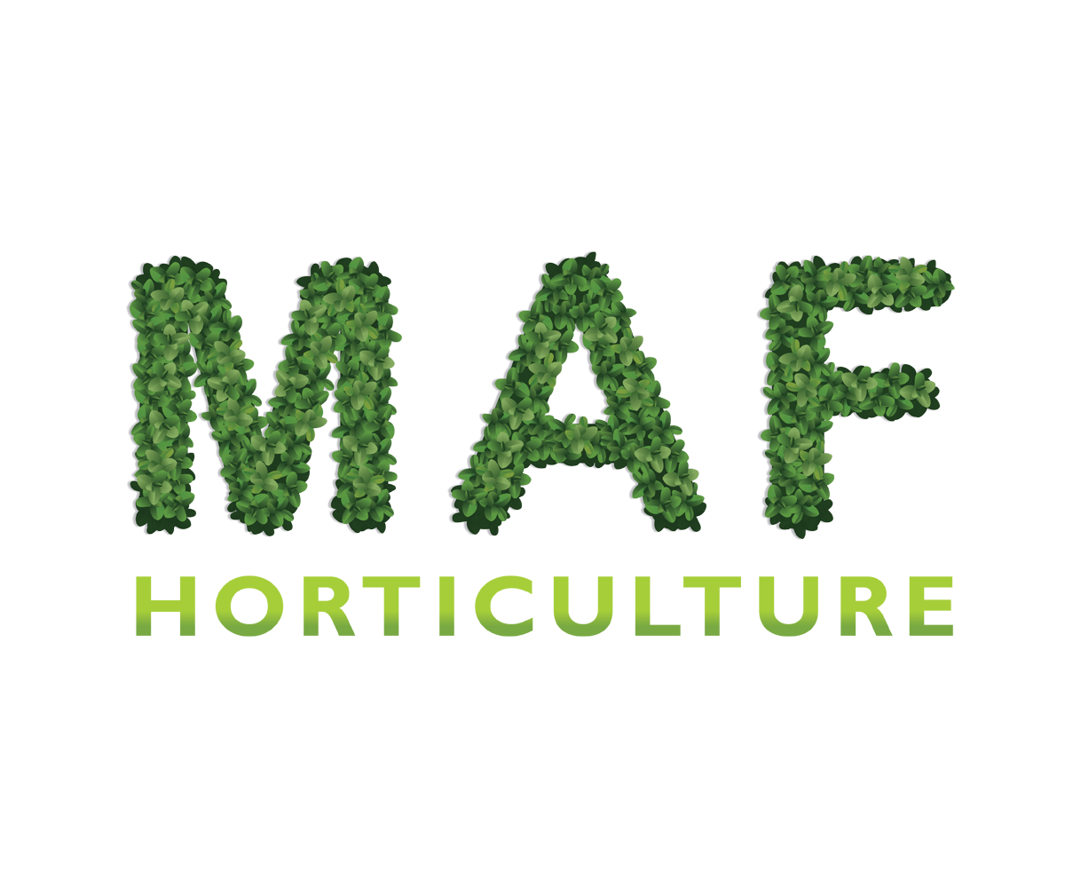 Diseño de Logo por digi-b para este proyecto | Diseño #8470680