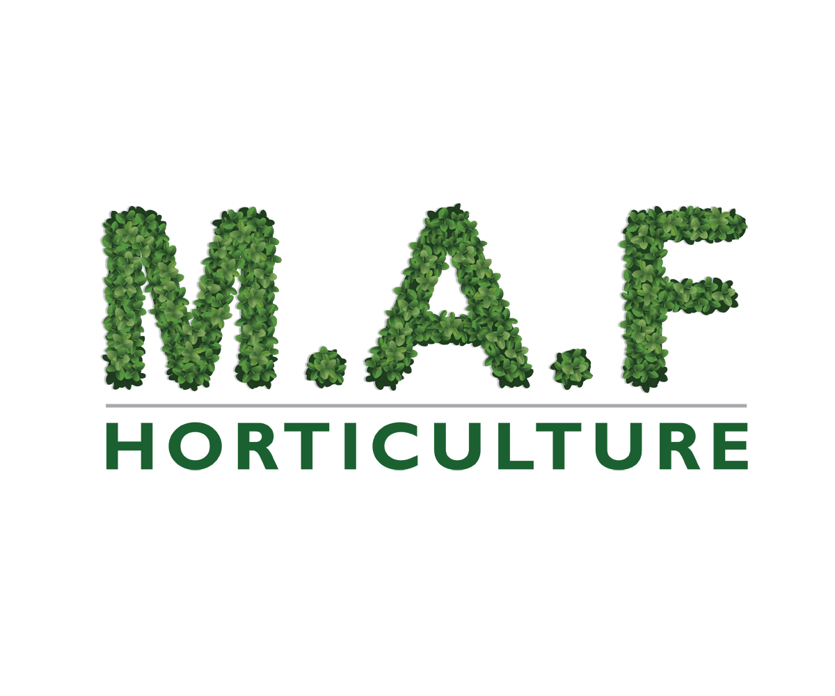 Logo Design by digi-b for this project | Design #9165655