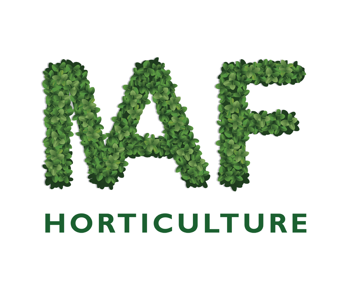 Diseño de Logo por digi-b para este proyecto | Diseño #9167025