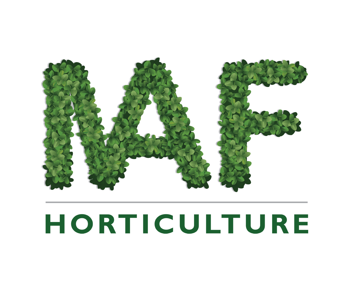 Diseño de Logo por digi-b para este proyecto | Diseño #9167042