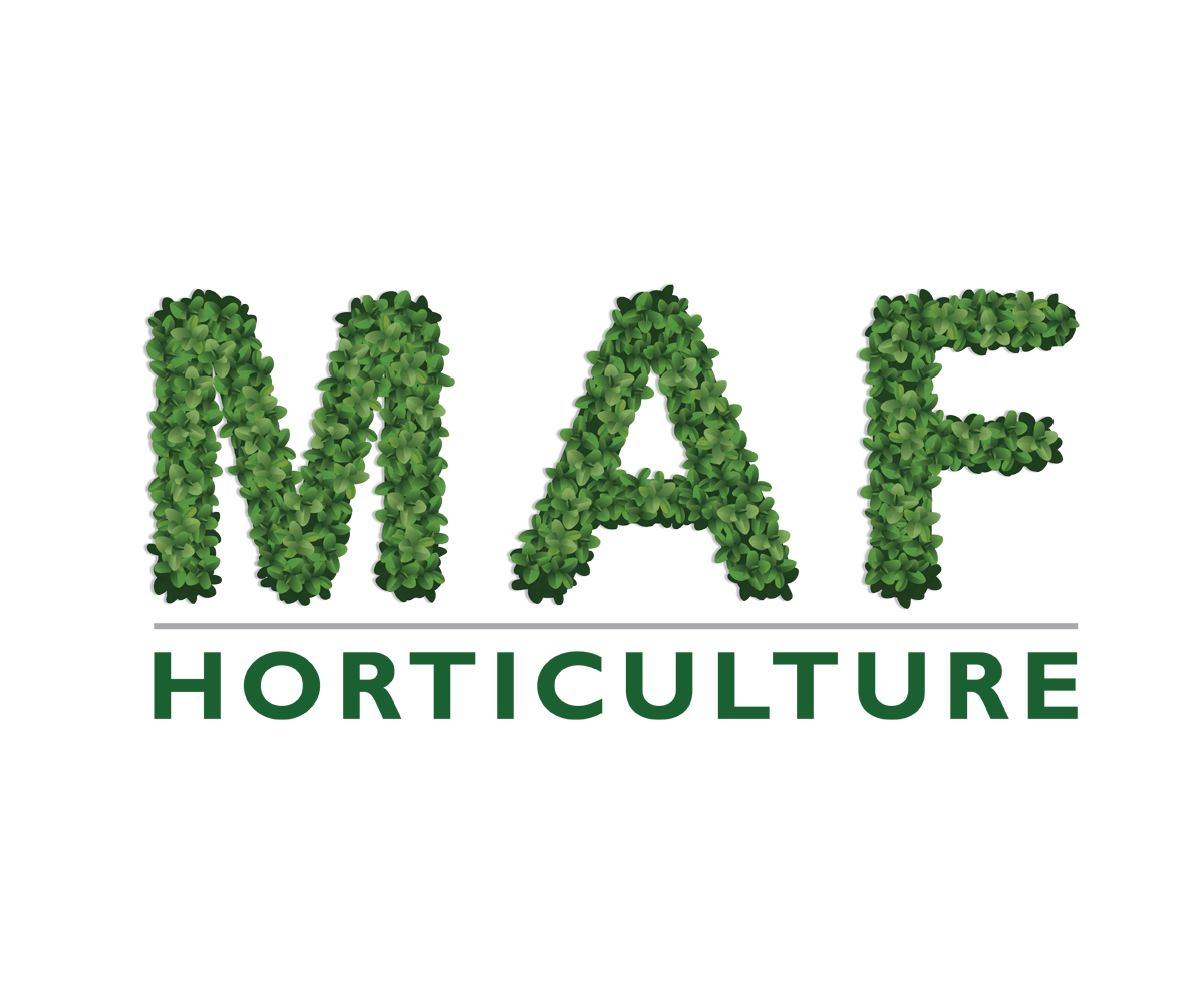 Diseño de Logo por digi-b para este proyecto | Diseño #9167233