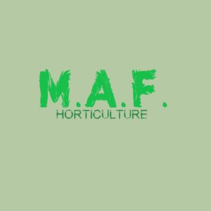 Logo Design by MusaGFX