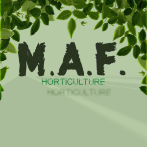 Logo Design by MusaGFX for this project | Design: #8438697