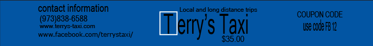 Banner Ad Design by Myles Norton designer for TERRY'S TAXI | Design #8436354