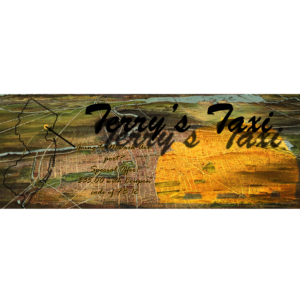 Banner Ad Design by MusaGFX for TERRY'S TAXI | Design #8434979