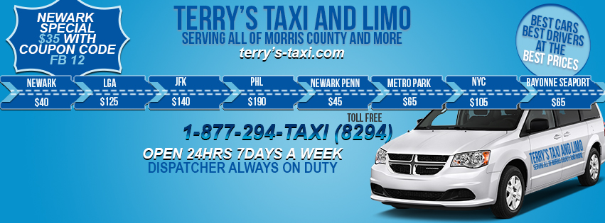 Banner-Design von alonzoduane6 für TERRY'S TAXI | Design #8435255