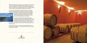 Flyer Design by Draw4 for this project | Design: #8467115