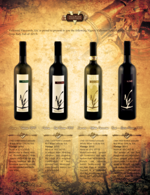 Flyer Design by eleutherios for this project | Design: #8530153