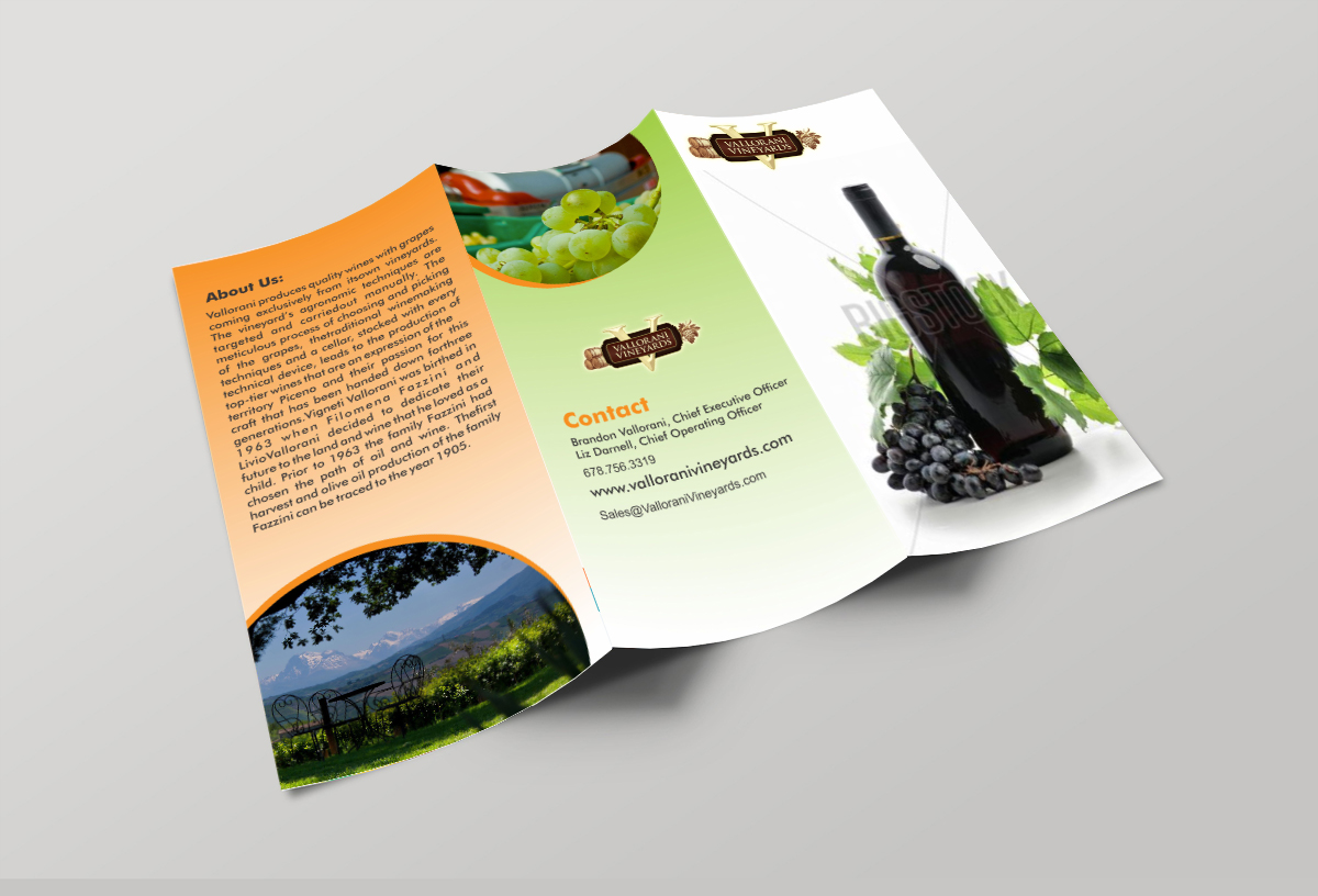 Diseño de Flyer por ecorokerz para este proyecto | Diseño #8447718