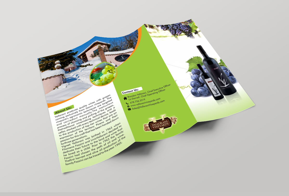 Flyer Design by ecorokerz for this project | Design #8467701