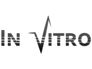 Logo Design by Translunity