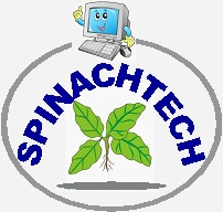 Logo Design by Evan