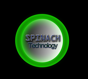 Logo Design by designer17