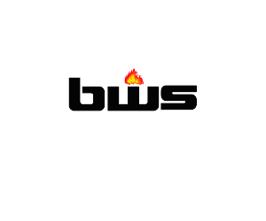 Logo Design by Tokyo Agents for Black Watch Systems | Design: #1989120