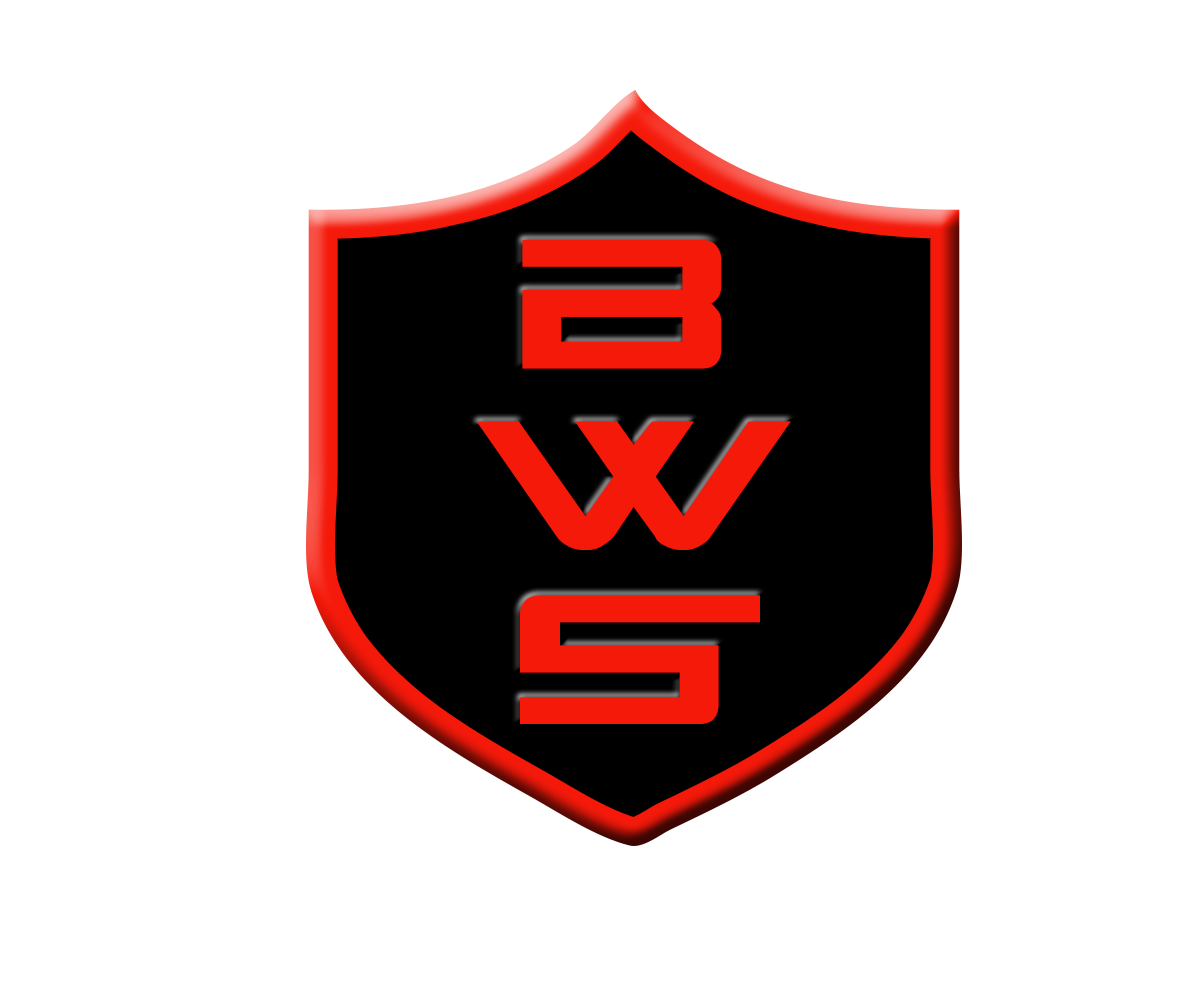 Logo Design by Tokyo Agents for Black Watch Systems | Design #1989125