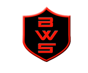 Logo Design by Tokyo Agents for Black Watch Systems | Design: #1989125