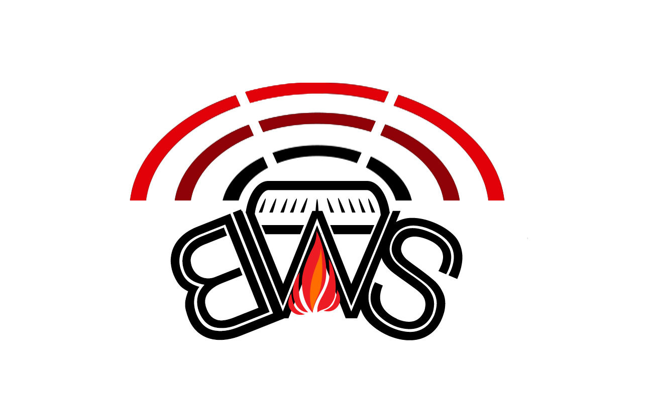 Diseño de Logo por SteveRJ para Black Watch Systems | Diseño #2021049