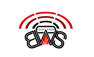 Logo Design by SteveRJ for Black Watch Systems | Design: #2021049