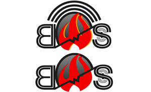 Logo Design by SteveRJ for Black Watch Systems | Design: #2021103