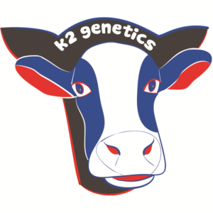 Logo Design by TAb TAb