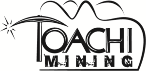 Diseño de Logo por Demchos para RGMI | Diseño: #8490622